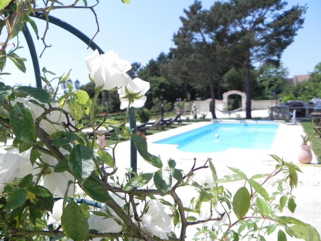 Le Petit Domaine De Bois Avril Hotell Étais-la-Sauvin Rum bild